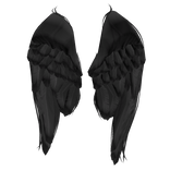 Black Fallen Angel Resting Wings