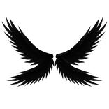 Black Fallen Angel Wings