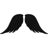 black fallen angel wings