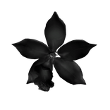 兰花 black flower hair clip