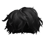 Black Fluffy Hair