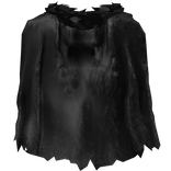 Black Fur Cape