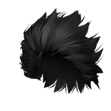 Black Hedgehog Hair