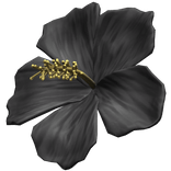Black Hibiscus Summer Hair Flower