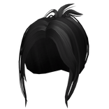 black high ponytail hair