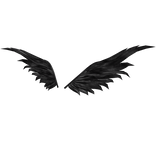 Black Ice Wings