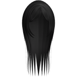 Black Long Straight Hair W Curtain Bangs