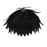 Black Messy Fluffy Hair