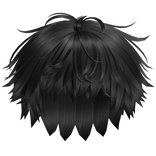 Black Messy Fluffy Hair