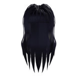 Black Messy Long Hair with Bangs (3.0)