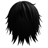 Black messy scene hair w/ mullet  ✶