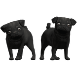 Black Pug Puppy Dog Duo Waist Pet