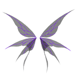Black Purple Mystic Lace Wings