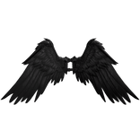 Black Raven Icarus Wings Recolor (Addon)