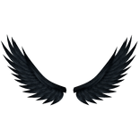 Black Raven Wings