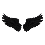 Black Realistic Wings