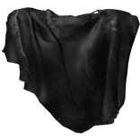 Black Robe