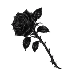 Black Rose