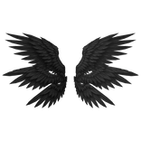 Black Seraphim Angel Wings