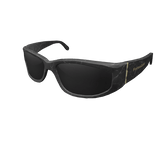 Black Sleek Sunglasses
