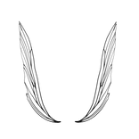 Black Sophisticated Fairy Wings