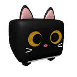 black square kitty >_< (waist)