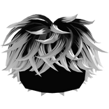 Black to White Fluffy Messy Hair V2