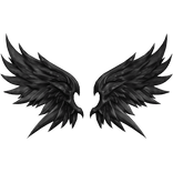 Black Transpire Wings