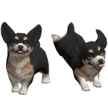 Black Tri Welsh Corgi Puppy Dog Duo Waist Pet