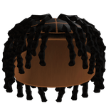 Black Twisted Dreadlocks