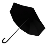 Black Umbrella