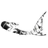 black white