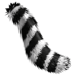 Black White Tail