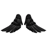 Black Wings