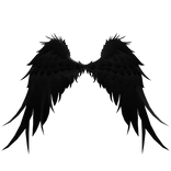 Black Wings