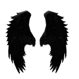 Black Wings