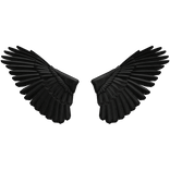 Black Wings