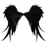 Black Wings
