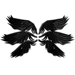 black wings