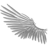 Black Wings Animated (L)