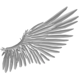 Black Wings Animated (R)