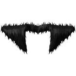 Black Winter Chic Fur