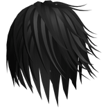 Black Wispy Japanese Vkei Windy Hair