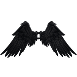 Black with details Icarus wings recoloring add-on