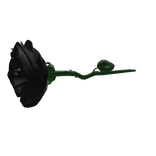 Black Withered Rose