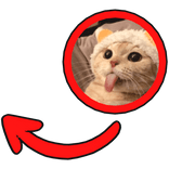 bleh cat pointing meme circle
