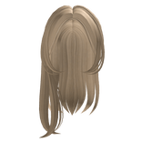 Blonde Cute Girl Hair