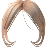 Blonde Messy Bangs w/ Edges