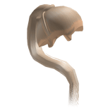 Blonde Sleek Stitch Braid Ponytail