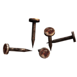Bloody Rusty Nails In Shoulder
